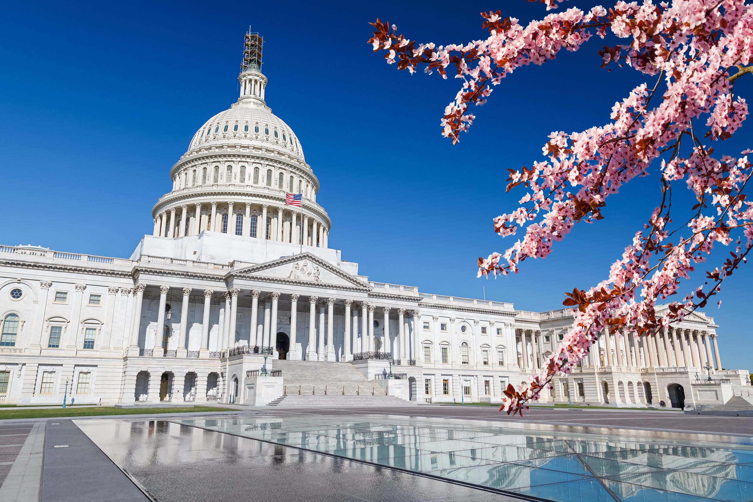 Passage of Living Donor Protection Act by U.S. Senate HELP Committee Aided by Powers
